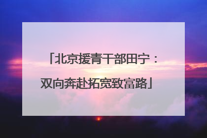 北京援青干部田宁：双向奔赴拓宽致富路
