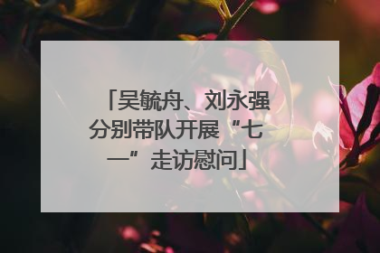 吴毓舟、刘永强分别带队开展“七一”走访慰问
