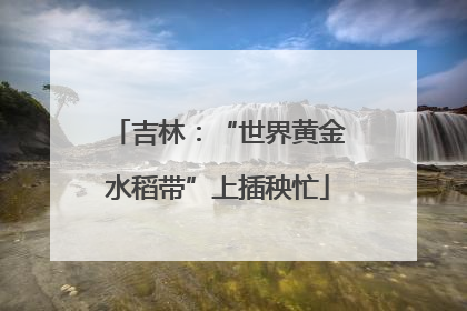 吉林：“世界黄金水稻带”上插秧忙