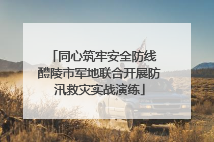 同心筑牢安全防线 醴陵市军地联合开展防汛救灾实战演练
