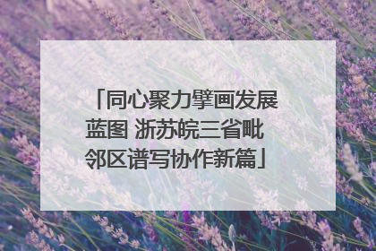 同心聚力擘画发展蓝图 浙苏皖三省毗邻区谱写协作新篇
