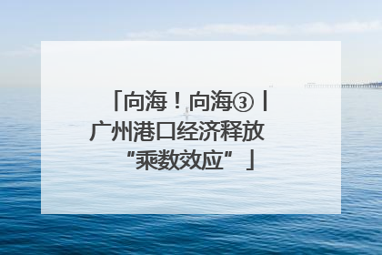 向海！向海③丨广州港口经济释放“乘数效应”