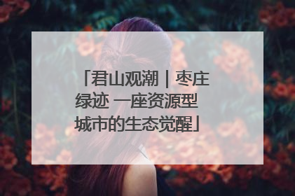君山观潮｜枣庄绿迹 一座资源型城市的生态觉醒