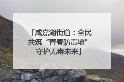 咸嘉湖街道：全民共筑“青春防毒墙” 守护无毒未来