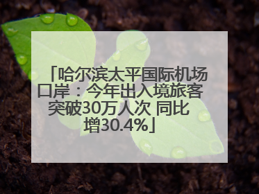 哈尔滨太平国际机场口岸：今年出入境旅客突破30万人次 同比增30.4%