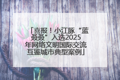 喜报！小江豚“蓝叒叒”入选2025年网络文明国际交流互鉴城市典型案例