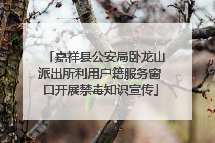 嘉祥县公安局卧龙山派出所利用户籍服务窗口开展禁毒知识宣传