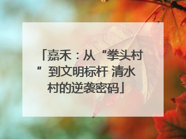 嘉禾：从“拳头村”到文明标杆 清水村的逆袭密码