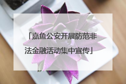 嘉鱼公安开展防范非法金融活动集中宣传