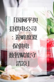 国网平舆县供电公司：迎峰度夏保供电  数智赋能守清凉
