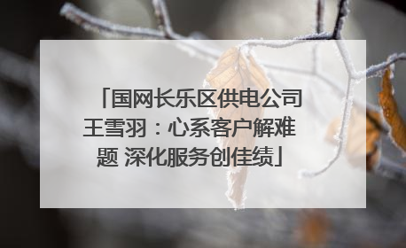 国网长乐区供电公司王雪羽：心系客户解难题 深化服务创佳绩