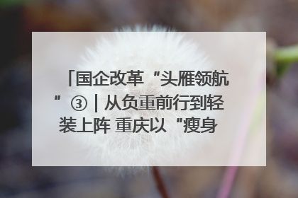 国企改革“头雁领航”③｜从负重前行到轻装上阵 重庆以“瘦身”谋“健体”