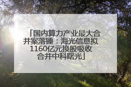 国内算力产业最大合并案落锤：海光信息拟1160亿元换股吸收合并中科曙光