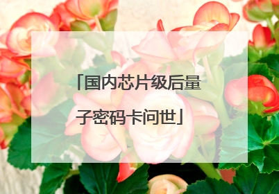 国内芯片级后量子密码卡问世