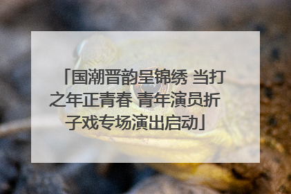 国潮晋韵呈锦绣 当打之年正青春 青年演员折子戏专场演出启动
