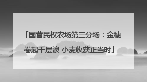 国营民权农场第三分场：金穗卷起千层浪 小麦收获正当时