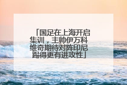 国足在上海开启集训，主帅伊万科维奇期待对阵印尼踢得更有进攻性