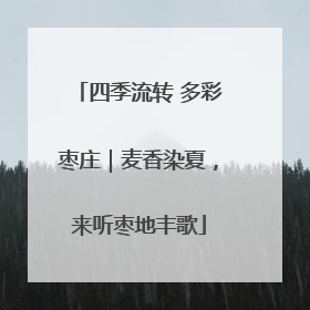 四季流转 多彩枣庄｜麦香染夏，来听枣地丰歌