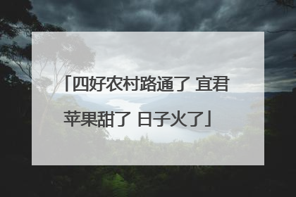 四好农村路通了 宜君苹果甜了 日子火了