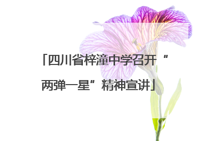 四川省梓潼中学召开“两弹一星”精神宣讲