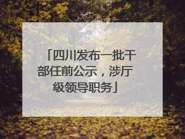 四川发布一批干部任前公示，涉厅级领导职务