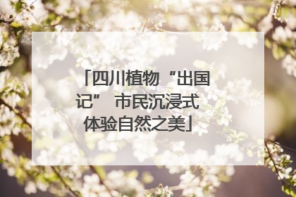 四川植物“出国记” 市民沉浸式体验自然之美
