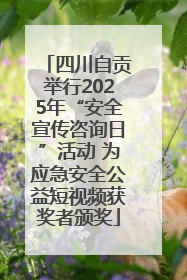 四川自贡举行2025年“安全宣传咨询日”活动 为应急安全公益短视频获奖者颁奖