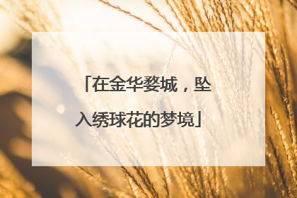 在金华婺城，坠入绣球花的梦境