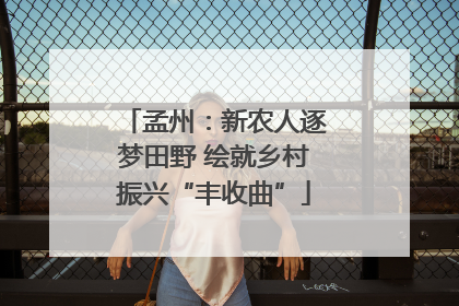 孟州：新农人逐梦田野 绘就乡村振兴“丰收曲”