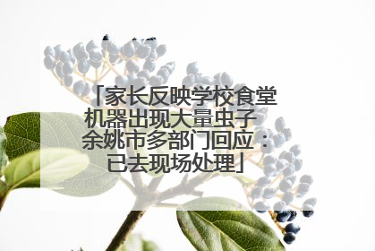 家长反映学校食堂机器出现大量虫子 余姚市多部门回应：已去现场处理