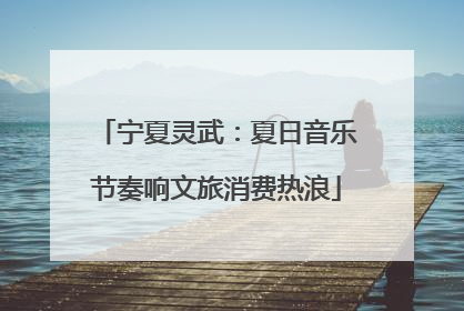 宁夏灵武：夏日音乐节奏响文旅消费热浪