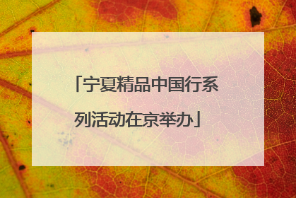 宁夏精品中国行系列活动在京举办