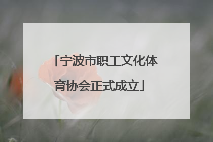 宁波市职工文化体育协会正式成立