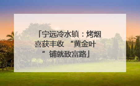 宁远冷水镇：烤烟喜获丰收 “黄金叶”铺就致富路