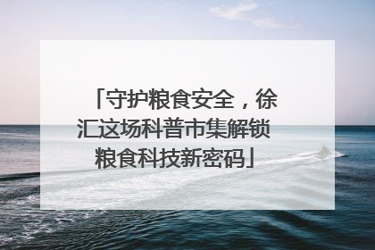 守护粮食安全，徐汇这场科普市集解锁粮食科技新密码
