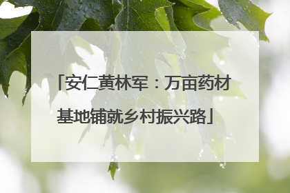 安仁黄林军：万亩药材基地铺就乡村振兴路