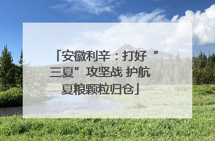 安徽利辛：打好“三夏”攻坚战 护航夏粮颗粒归仓