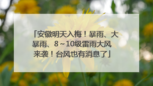 安徽明天入梅！暴雨、大暴雨、8～10级雷雨大风来袭！台风也有消息了