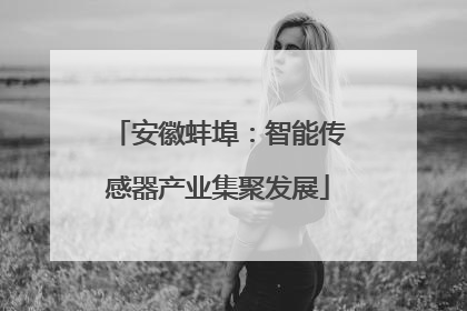 安徽蚌埠：智能传感器产业集聚发展