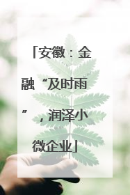 安徽：金融“及时雨”，润泽小微企业