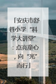 安庆市舒巷小学“科学大讲堂”：点亮童心，向“光”而行