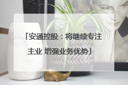 安通控股：将继续专注主业 增强业务优势