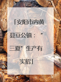 安阳市内黄县豆公镇：“三夏”生产有实招