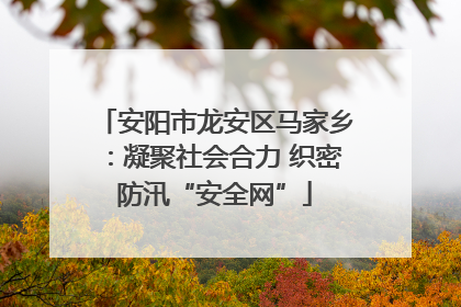 安阳市龙安区马家乡：凝聚社会合力 织密防汛“安全网”