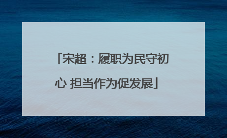 宋超：履职为民守初心 担当作为促发展