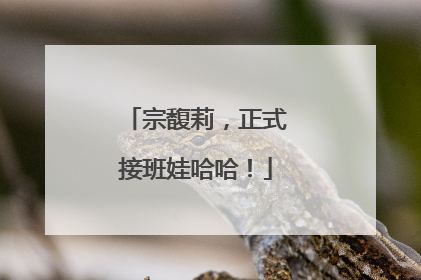 宗馥莉，正式接班娃哈哈！