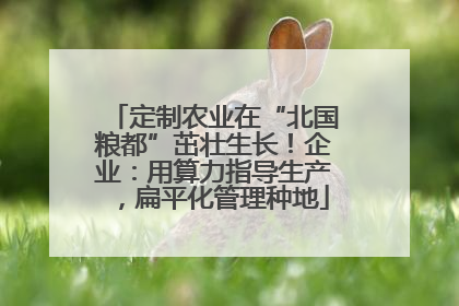 定制农业在“北国粮都”茁壮生长！企业：用算力指导生产，扁平化管理种地