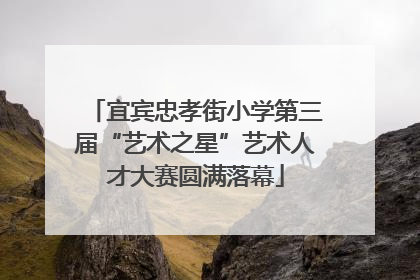 宜宾忠孝街小学第三届“艺术之星”艺术人才大赛圆满落幕