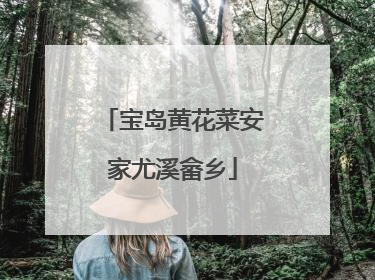 宝岛黄花菜安家尤溪畲乡