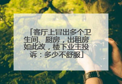 客厅上冒出多个卫生间、厨房，出租房如此改，楼下业主投诉：多少不舒服